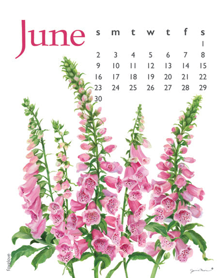 2024 Flowers Spiral Calendar