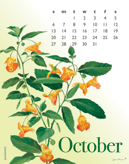 2024 Flowers Spiral Calendar