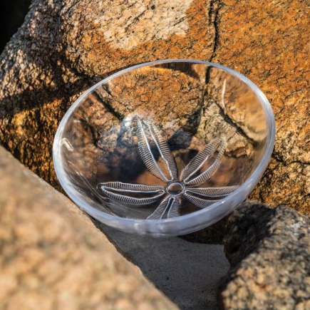 Simon Pearce Medium Sand Dollar Bowl