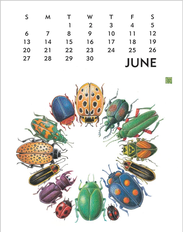 2027 Linnea Poster Calendar